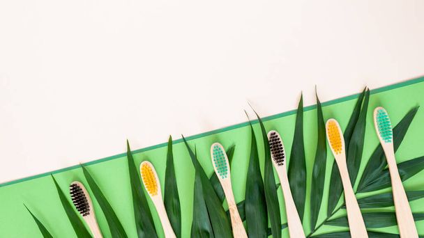 Екологічно чисті бамбукові зубні щітки та пальмове листя на пастельному бежевому та зеленому тлі. Барвисті натуральні дерев'яні зубні щітки як безкоштовний продукт для догляду за зубами. Нульові відходи, стійкий спосіб життя
 - Фото, зображення