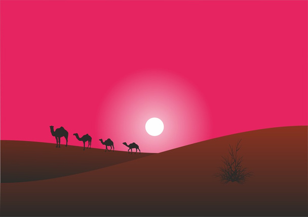 The caravan of camels moves in the desert - Vector, Image