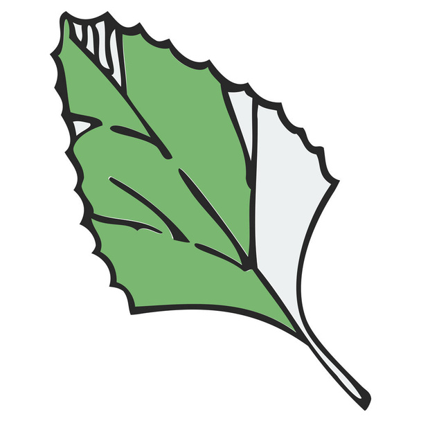 ikona liści liści w stylu ręcznie rysowanym - Wektor, obraz