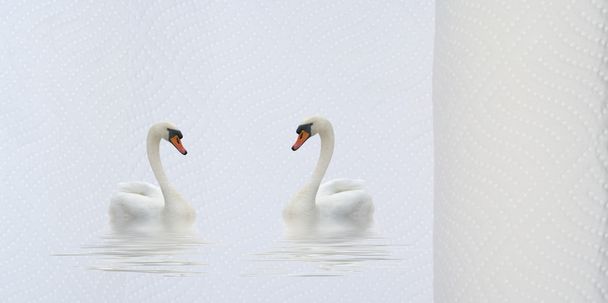 Two swans and a hygiene towel. - Photo, Image