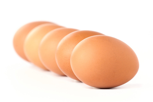 Line of brown eggs on white background - Fotoğraf, Görsel