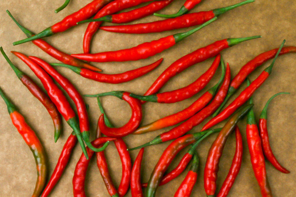 Hot red chili isolated on paper background. - Photo, Image