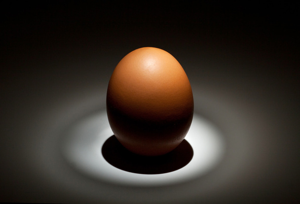 Lightened egg in the dark - 写真・画像