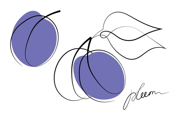 Prune bleue fraîche avec des feuilles sur fond blanc. Décrivez doodle, dessin animé style plat. Croquis. Illustration vectorielle abstrait. - Vecteur, image