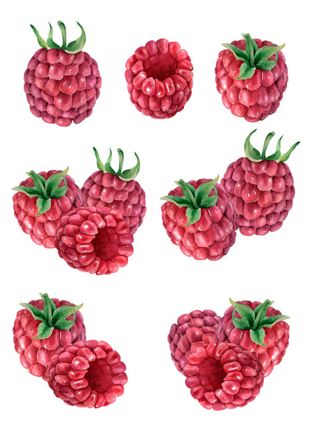 Акварельные ягоды.  - Фото, изображение