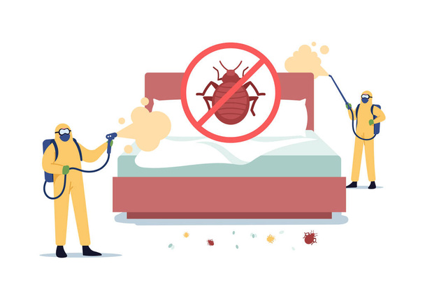 Bedwantsen uitroeiing Professional Service. Ongediertebestrijding verdelgers Doing Room Disinsection tegen Bed Bugs - Vector, afbeelding