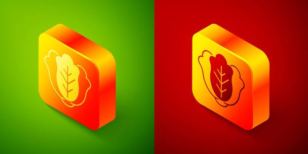 Isometric Fresh cabbage vegetable icon isolated on green and red background. Square button. Vector. - Vector, Image