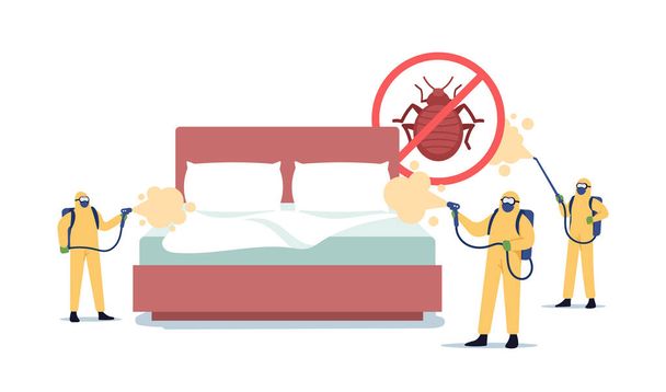 Ammattimainen tuholaistorjunta Service Doing Room Desinsection vastaan Bed Bugs. Myrkyllistä nestettä ruiskuttavat tuholaistorjujat - Vektori, kuva