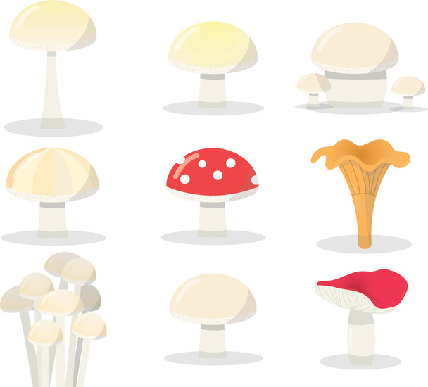 Set van negen paddenstoelen waaronder een paddenstoel, cantharellen, russula, porcini en andere soorten. Natuur champignons, veganistisch of vegetarisch vers en gezond voedsel - Vector, afbeelding