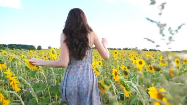 Nahaufnahme eines hübschen Mädchens, das durch ein Sonnenblumenfeld läuft. Junge Frau im Kleid hat Spaß beim Joggen durch die Wiese. Szenische Sommerlandschaft im Hintergrund. Glück und Freiheit. Rückseite - Filmmaterial, Video