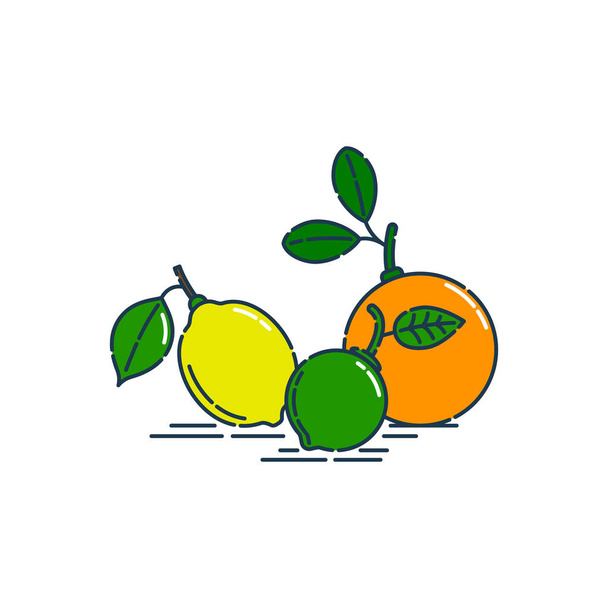 レモンライムとオレンジの果実全体が白い背景に隔離されています。有機製品だ。ラインアートスタイルで明るい夏の収穫イラスト。任意のデザインのためのフラットスタイルイラスト。新鮮な柑橘類のアイコン. - ベクター画像