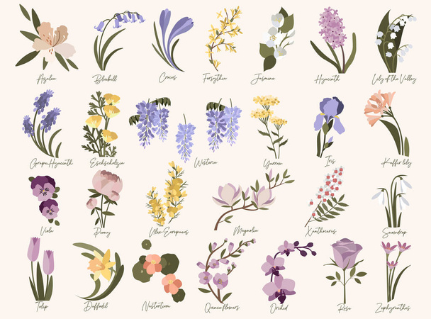 Σετ ανοιξιάτικα μοντέρνα λουλούδια. Azalea, bluebell, crocus, daffodil, φορσύθια, υάκινθος σταφυλιών, ίριδα, γιασεμί, κρίνος kaffir, μανόλια, νεροκάρδαμο, ορχιδέα, κυδώνι, ρόζ, χιονοσταγόνα, τουλίπα, ulex, γουιστέρια σε παστέλ χρώματα - Διάνυσμα, εικόνα