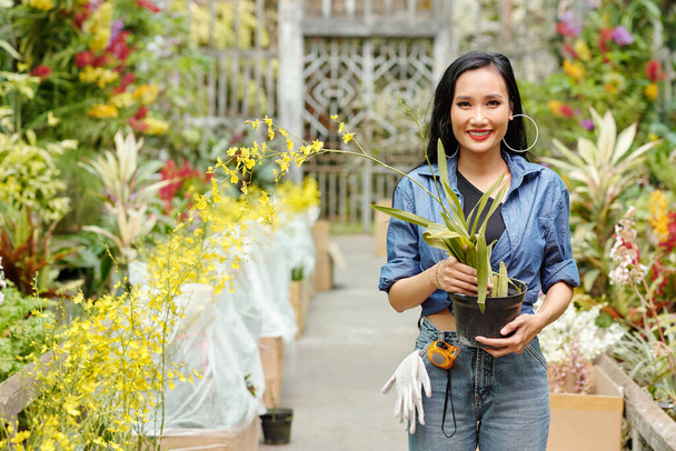 Neşeli, güzel, Vietnamlı bir kadın elinde çiçekli saksı tutuyor. - Fotoğraf, Görsel