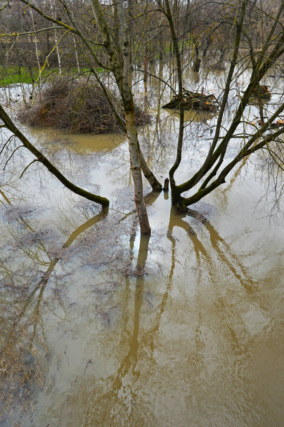Ανοιξιάτικη πλημμύρα στην πόλη Τυσμενύτσια στη δυτική Ουκρανία - Φωτογραφία, εικόνα