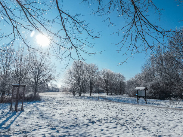 Winter landscape in Braunschweig, Lower Saxony, Germany. Beautiful snow covered Westpark on a sunny day - Photo, Image
