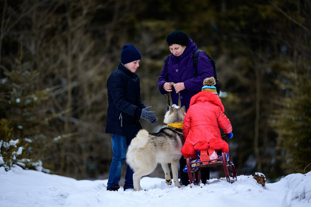 Nagymama unokák és kutya séta a téli erdőben, téli szórakozás.új - Fotó, kép