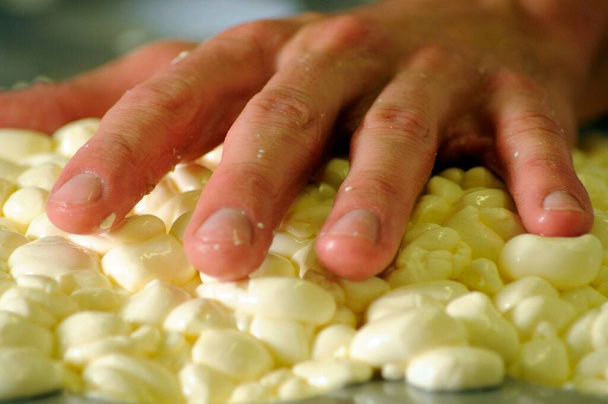 la producción de queso crema, la producción de alimentos en la industria láctea - Foto, imagen