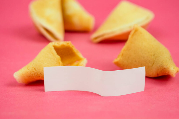 Fortune Cookie on a crimson background. Close-up of foreboding broken cookies with white piece of paper with copy space on a dark pink background - Photo, image