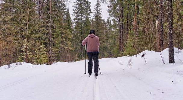 Senior hombre va esquí de fondo en una pista de esquí en un bosque de invierno. - Foto, imagen