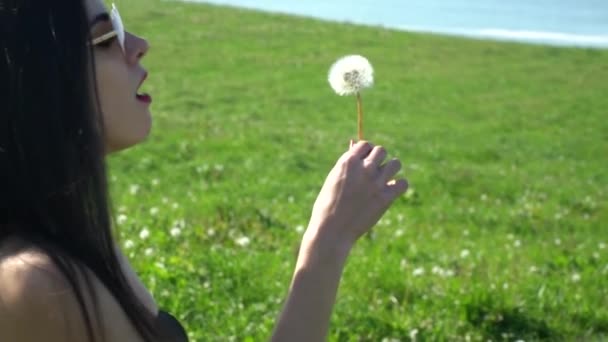 Mujer latina joven soplando un polen de flores de diente de león en un prado verde cerca del mar - Imágenes, Vídeo