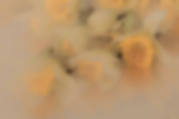 Fond floral flou. Image d'art. Concept de saison printanière. Fond horizontal avec des taches de couleur.  - Photo, image