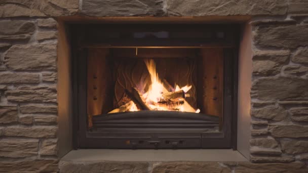 Uma lareira clássica com uma chama aberta queima de madeira - Filmagem, Vídeo