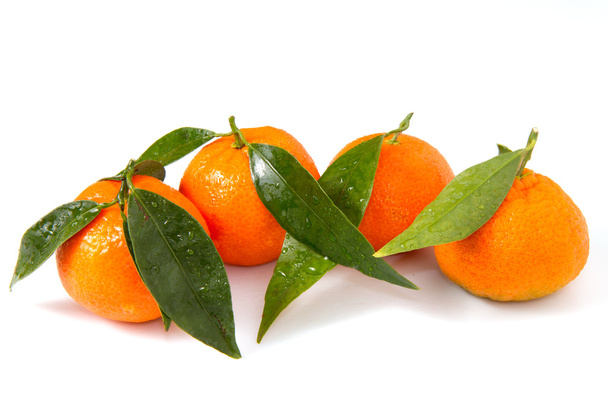 Mandarin isolated on white background - Фото, изображение
