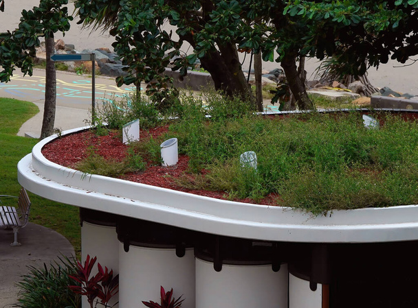 Un giardino panoramico sul tetto di un blocco di servizi igienici pubblici situato in un sobborgo fronte mare - Foto, immagini