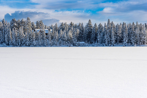 雪に覆われたキャビンは、カナダのBC州インバーミア近くのリリアン湖の木々に隠されています - 写真・画像
