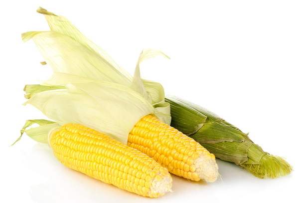 Fresh corn cobs isolated on white - Fotografie, Obrázek
