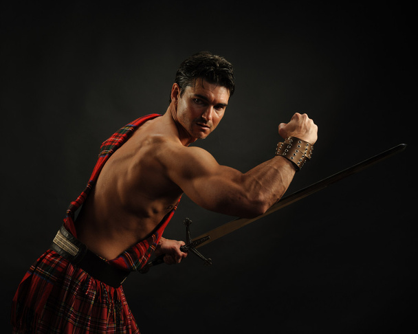 Handsome highlander - Photo, Image