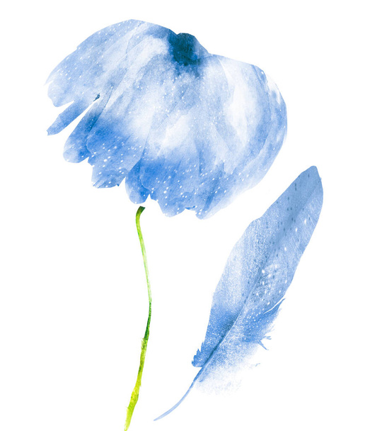 Watercolor flower and feather, isolated on white background - Fotoğraf, Görsel