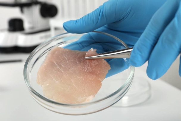 Scientist taking raw cultured meat out of Petri dish with tweezers in laboratory, closeup - 写真・画像