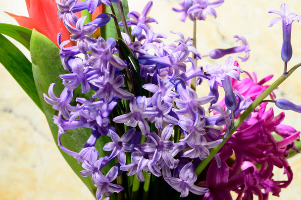 ramo de hermosas flores sobre fondo brillante, concepto de primavera, vista cercana   - Foto, Imagen