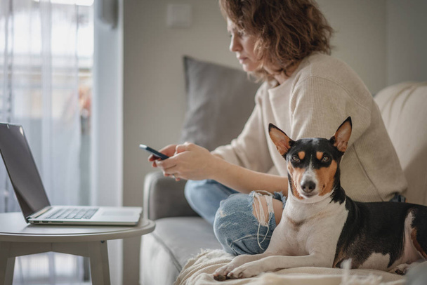 Happy young woman sitting at home on couch a mobile phone in her hands with her pet dog  - Foto, Bild