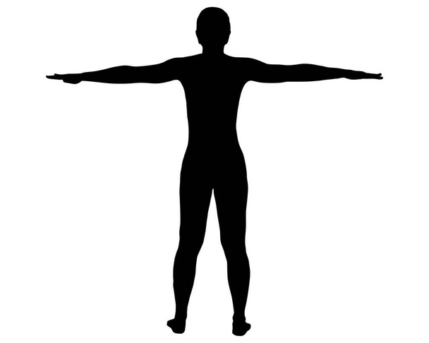 Back view of woman with outstretched arms - Vector, Image