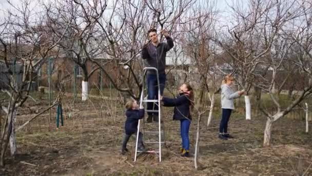 お父さんとお母さんは、ブラシカッターと剪定シアーで木の枝を剪定して庭にいます。息子と娘ははしごを持っている。春の木の剪定と庭のメンテナンスの概念. - 映像、動画