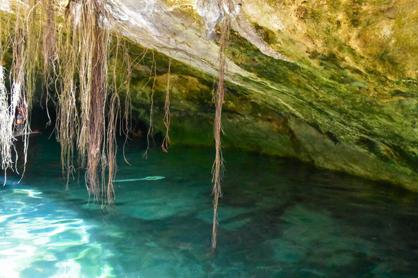 Gran Cenote Tulumissa, Meksikossa, on luonnollinen vajoama, jossa on kirkas vesi - Valokuva, kuva