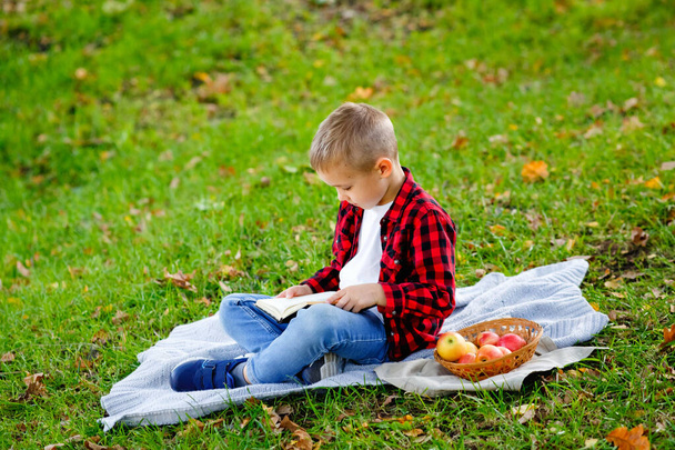 Retrato de un niño con una camisa a cuadros roja en un picnic en el parque con manzanas rojas. El niño está sentado en una manta y leyendo un libro. - Foto, Imagen