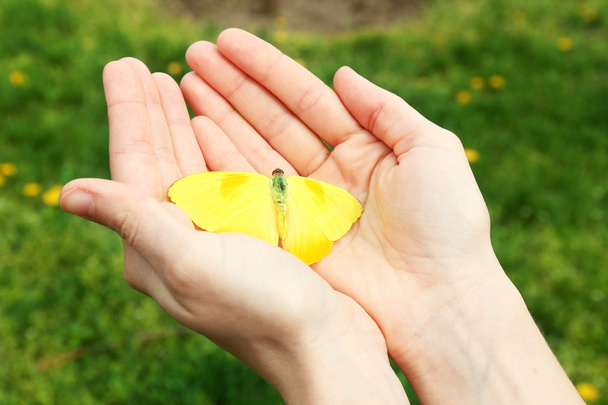 Beautiful butterfly on hands - Foto, Imagem