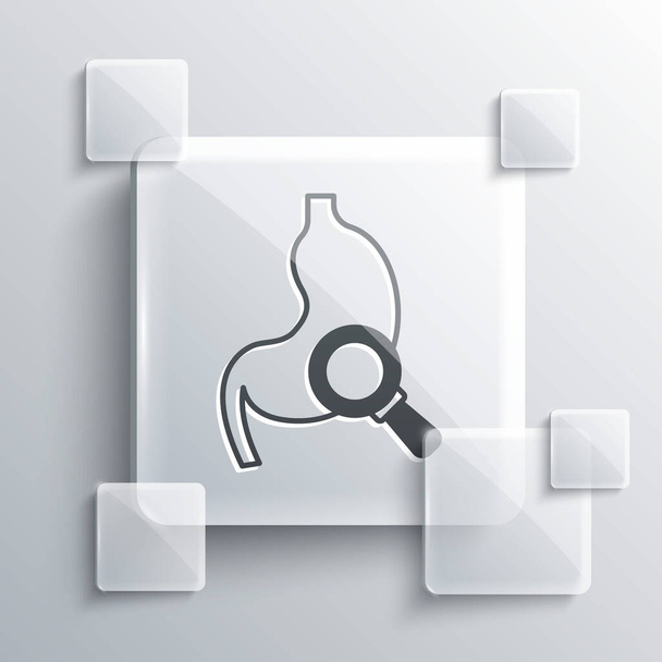 Grey Human stomach with magnifying glass icon isolated on grey background. Square glass panels. Vector. - Vector, Image