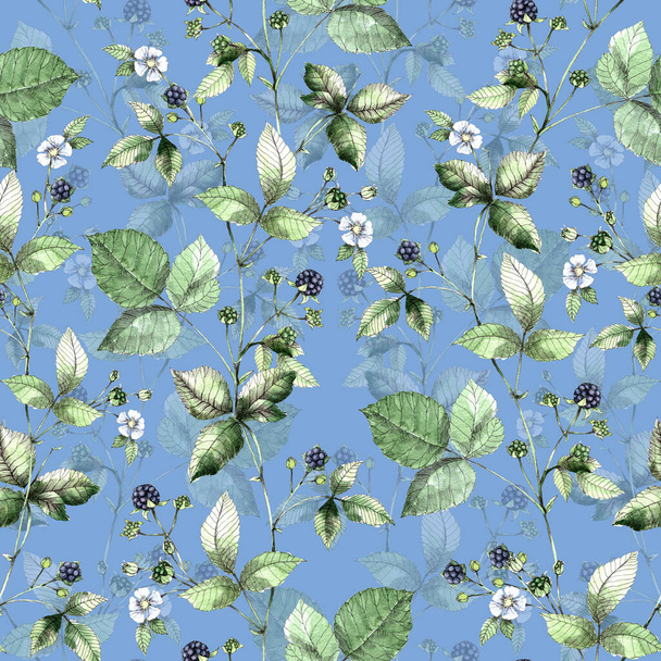 Akvarell virágok bogyó szeder kék háttér. Zökkenőmentes minta. - Fotó, kép