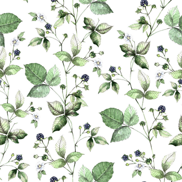 Watercolor flowers with berry blackberry on white background. Seamless pattern. - Фото, зображення