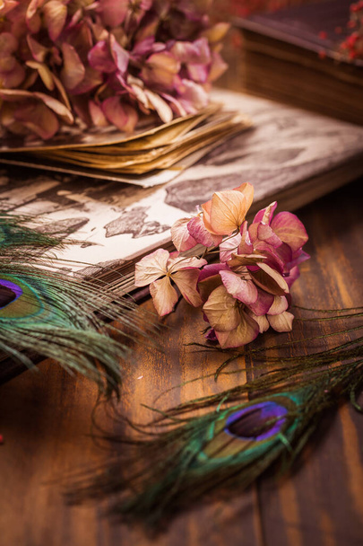 Recuerdos - Libro viejo y álbum de fotos, flores secas y ojo de pluma de pavo real en estilo vintage - Foto, Imagen