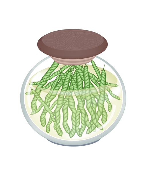 een glazen pot van groene mung bean peulen - Vector, afbeelding