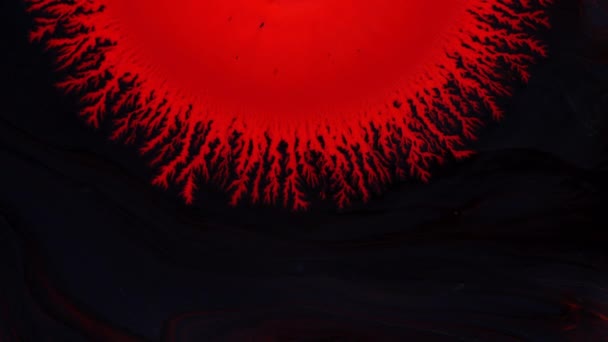 Crystal germination. Abstract red spot on a dark background. Abstract Grunge Art Ink Paint Spread Blast Explode Background. - Felvétel, videó