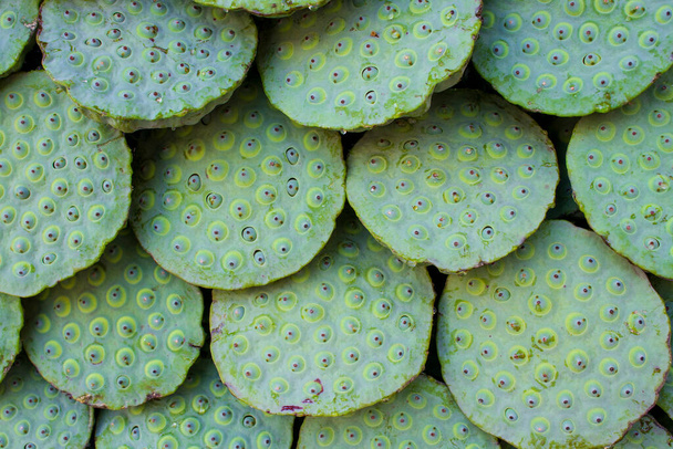 Nasiona lotosu lub orzechy lotosu to nasiona roślin z rodzaju Nelumbo, w szczególności gatunków Nelumbo nucifera. Nasiona są wykorzystywane w kuchni azjatyckiej i medycynie tradycyjnej. - Zdjęcie, obraz