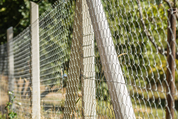 Pletené drátěné ploty na betonových pilířích. Drátěný plot se zelenou trávou na pozadí - Fotografie, Obrázek