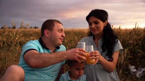 Casal feliz fazendo piquenique com seu filho em um campo de verão em slowmo - Filmagem, Vídeo