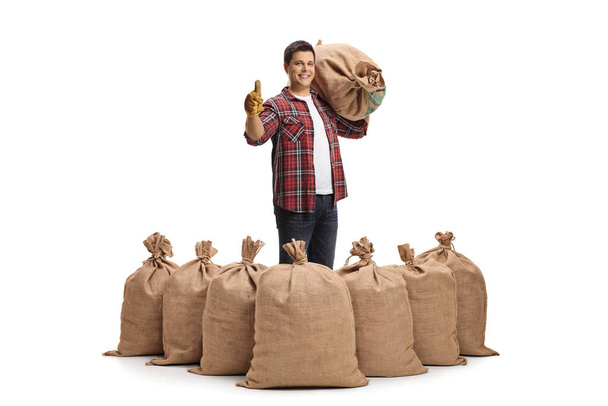 Full length portrait of a farmer gesturing a thumb up sign behind a pile of sacks isolated on white background - Photo, image